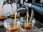 Cafina Viva traditional portafilter espresso machine, 2-group version